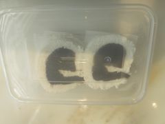 -三元梅园(新源里店)