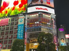 -涩谷全向十字路口