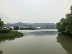 -长兴太湖图影湿地文化园