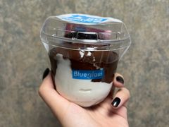 -Blueglass酸奶(财富购物中心店)
