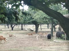 -西安秦岭野生动物园