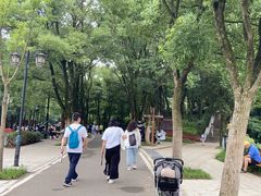 -青龙山国家森林公园