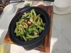 -香港深井掂檔烧鹅茶餐厅(海韵城店)