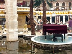 -碧中海汤泉汗蒸酒店