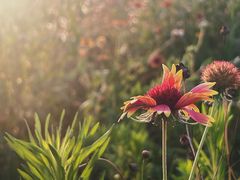 -汉长安城未央宫国家考古遗址公园