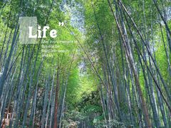 -敬亭山风景名胜区