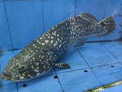 -厨房好味(国贸店)