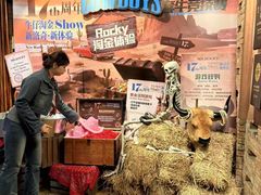 -MR.ROCKY洛奇先生·西餐&酒吧(琶醍店)