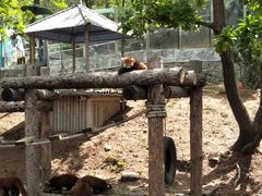 -大连森林动物园