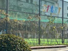 -老西白点心店