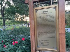 -西海子公园