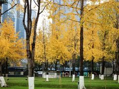 -重庆市江北嘴中央商务区中央公园