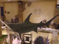-信不信由你博物馆