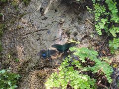 -华蓥山天意谷景区