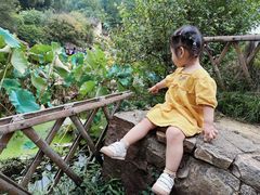 -韶山毛泽东同志故居