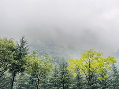 -少华山国家森林公园