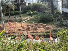 -无锡动物园·太湖欢乐园