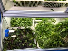 野菜-黔府豆米火锅野菜馆(南马店)