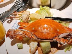 -星伦多自助料理·涮烤一体(江桥万达店)