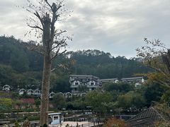 -广东天露山旅游度假区