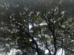 -人民广场