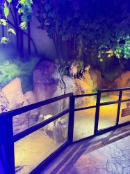 -酷嗒动物文化乐园(cutezoo西溪乐天城店)