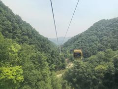 -栾川竹海野生动物园