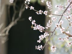 -颐和园