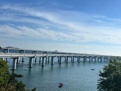 -星海湾跨海大桥