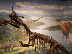 -自贡恐龙博物馆