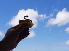 -水上明月·湖景餐厅
