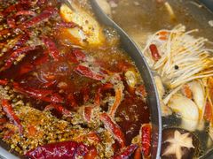 -销魂美蛙鱼头火锅(上海首店)