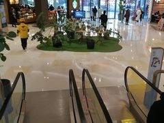 -Asianplus海蓝鸡饭