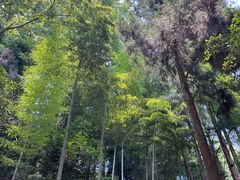 -莫干山风景区