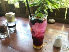 -Rainforest