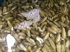 -四海鲜渔家菜(黄金海岸店)