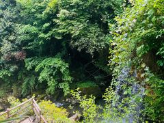 -鹿院坪生态旅游景区