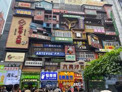 -黑色经典臭豆腐·湖南特产(步行街店)