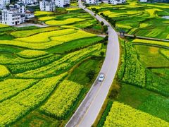 -婺源风景区