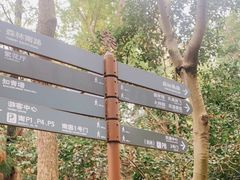 -东平国家森林公园
