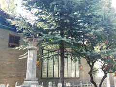 -兴教寺