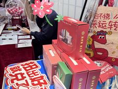 -苏宁易购(Suning Pro南京山西路店)