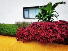 -雲记卢妈冷锅串串(中道街总店)