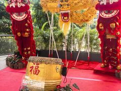-圣淘沙名胜世界