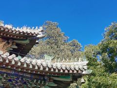 -潭柘寺景区