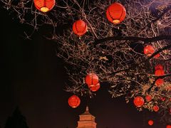 -大雁塔北广场音乐喷泉