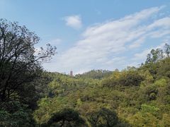 -大雁山风景区