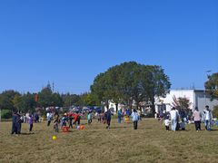 -前小桔亲子创意农场·草莓采摘·露营烧烤