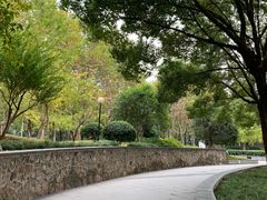 -后襄河公园