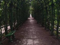 -夏园